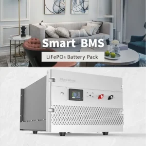 lithium ion battery pack 48 volt with Smart BM
